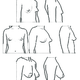 Illustration for article titled BOOB DIVERSITY